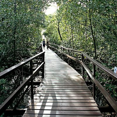 passeios-pela-natureza